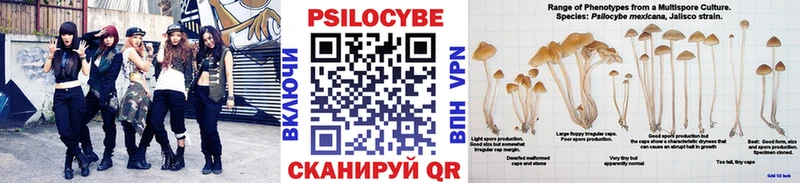 Галлюциногенные грибы Psilocybine cubensis Харабали