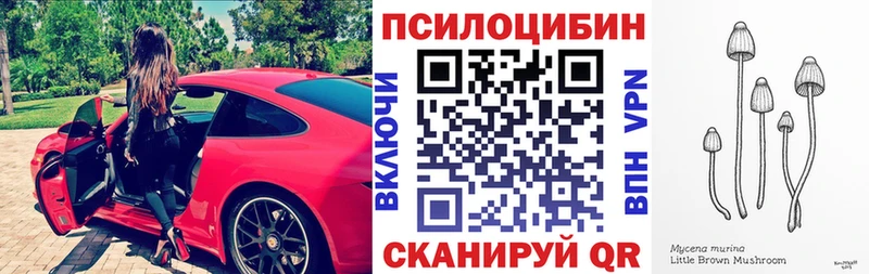 Галлюциногенные грибы GOLDEN TEACHER  дарнет шоп  Харабали 