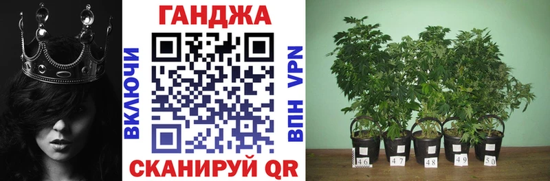 darknet телеграм  магазин  наркотиков  Харабали  Конопля тримм 
